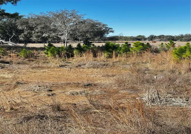 6th image of Cr 707 Rd, Webster, FL 33597 | MLS# TB8473989
