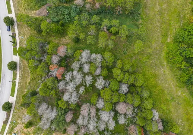 Photo 3 of Land for sale at 16409 Pendio Dr, Montverde, FL 34756 | MLS# G5107902 | Listing updated on 2026-10-03