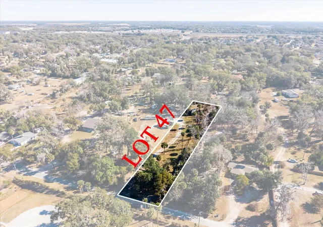 22nd image of Walker Rd, Apopka, FL 32703 | MLS# TB8474039