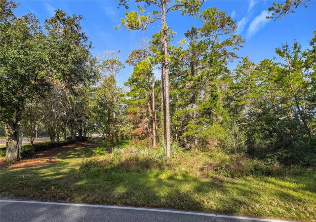4th image of 1 Oak Village Blvd, Homosassa, FL 34446 | MLS# TB8474056