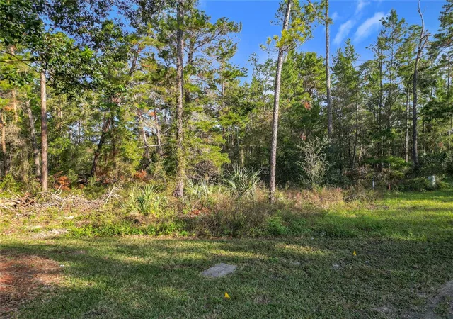 5th image of 1 Oak Village Blvd, Homosassa, FL 34446 | MLS# TB8474056