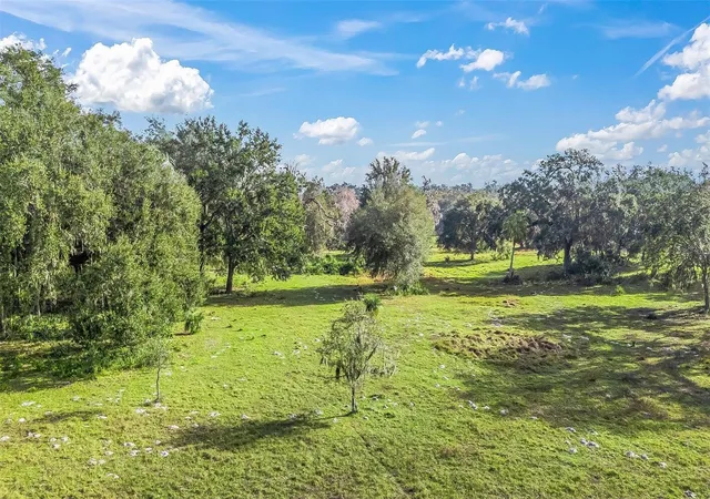 Photo 3 of Land for sale at Tract 1 Cr 221, Wildwood, FL 34785 | MLS# G5107952 | Listing updated on 2026-04-08