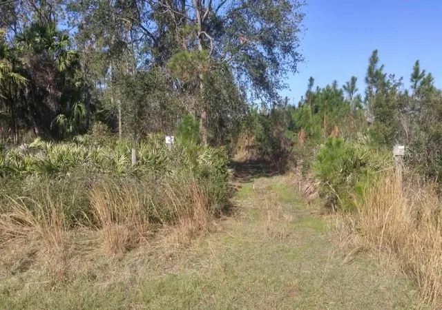 4th image of Us 1 North, Bunnell, FL 32110 | MLS# V4947246