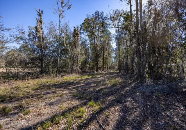 3rd image of 155Th Wy, Starke, FL 32091 | MLS# GC537376