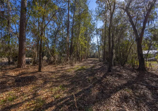 4th image of 155Th Wy, Starke, FL 32091 | MLS# GC537376