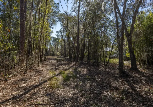 5th image of 155Th Wy, Starke, FL 32091 | MLS# GC537376