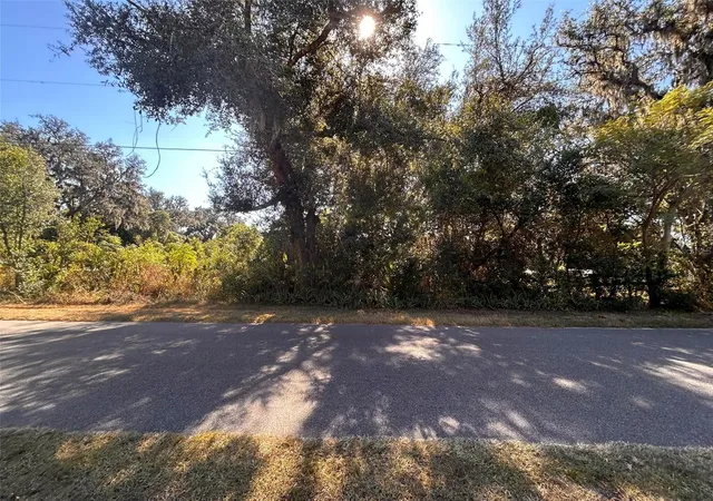 12th image of 11119 Bessie Dix Rd, Seffner, FL 33584 | MLS# O6381164
