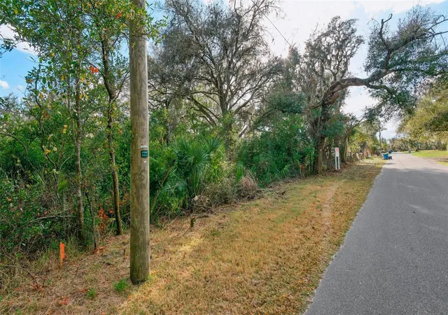 2nd image of 11119 Bessie Dix Rd, Seffner, FL 33584 | MLS# O6381164