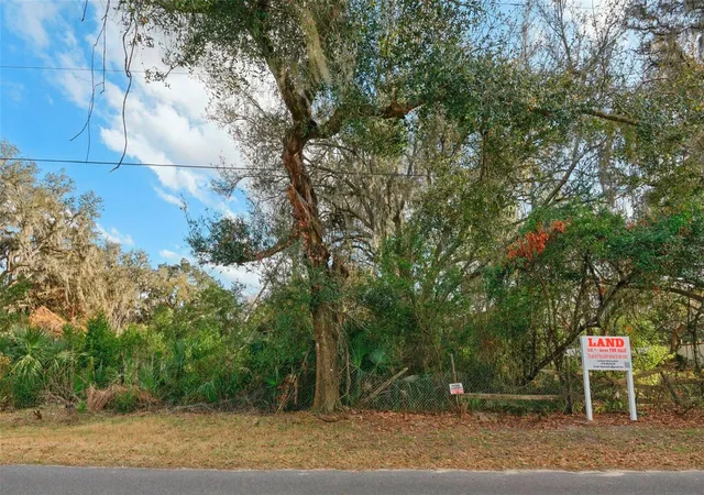 3rd image of 11119 Bessie Dix Rd, Seffner, FL 33584 | MLS# O6381164