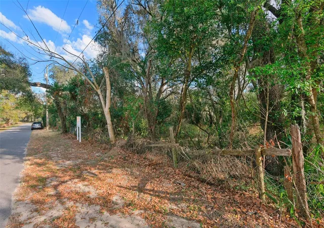 4th image of 11119 Bessie Dix Rd, Seffner, FL 33584 | MLS# O6381164