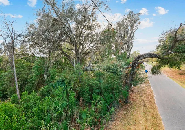 5th image of 11119 Bessie Dix Rd, Seffner, FL 33584 | MLS# O6381164