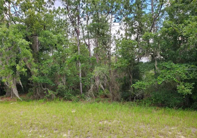 Photo 3 of Land for sale at 8650 SW 138 Lane, Ocala, FL 34473 | MLS# OM718472 | Listing updated on 2026-09-25
