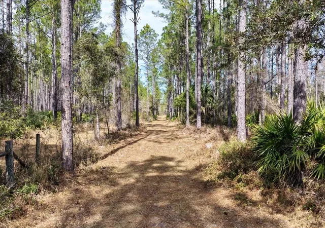 Photo 3 of Land for sale at 60 Nw Acres Clyatt Rd, Chiefland, FL 32626 | MLS# OM718503 | Listing updated on 2026-04-29