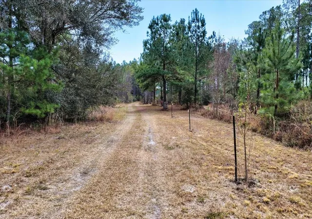 Photo 3 of Land for sale at 60 NW Acres Clyatt Rd, Chiefland, FL 32626 | MLS# OM718503 | Listing updated on 2026-04-29