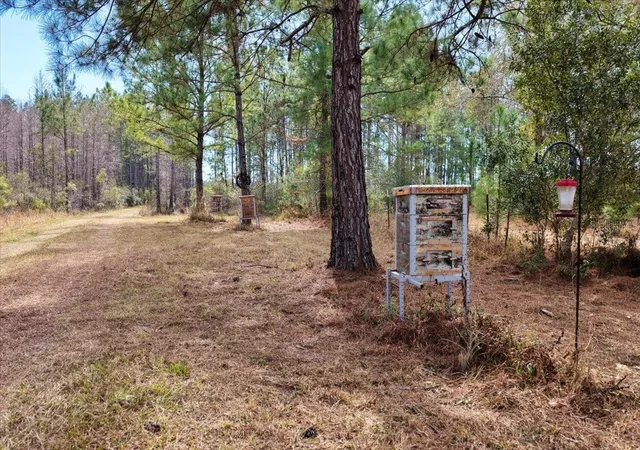 Photo 4 of Land for sale at 60 NW Acres Clyatt Rd, Chiefland, FL 32626 | MLS# OM718503 | Listing updated on 2026-04-29