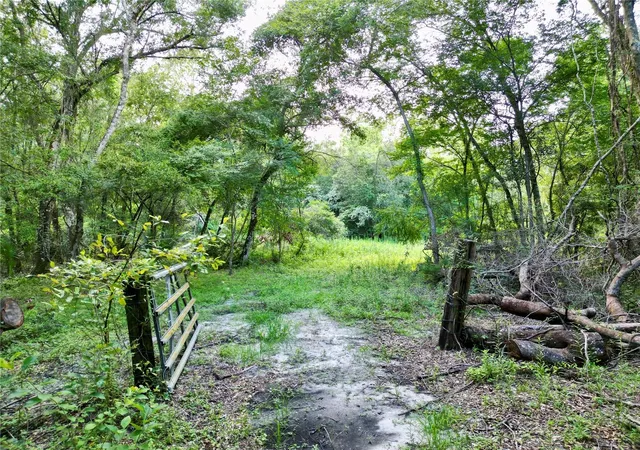 Photo 2 of Land for sale at Tbd Sw 31st Way, Webster, FL 33597 | MLS# G5108008 | Listing updated on 2026-10-05