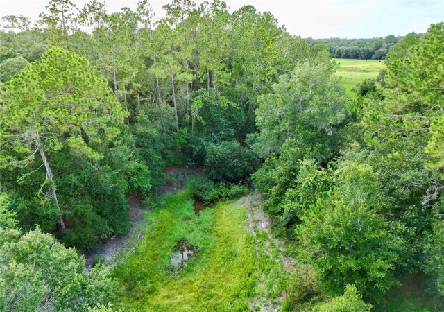 Photo 3 of Land for sale at Tbd SW 31st Way, Webster, FL 33597 | MLS# G5108008 | Listing updated on 2026-10-05