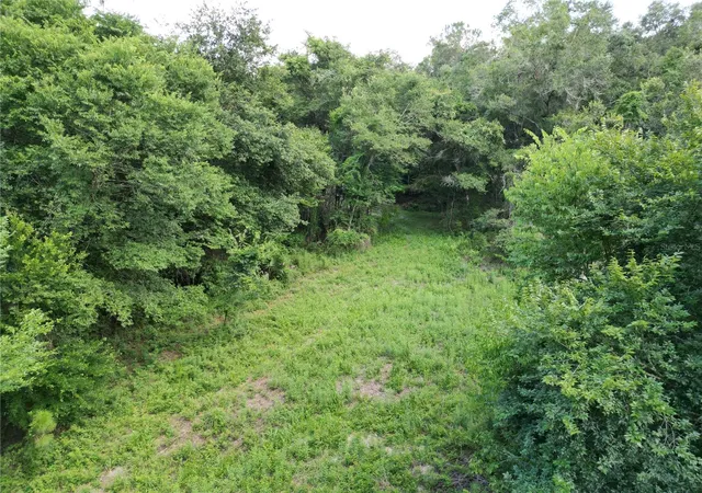Photo 4 of Land for sale at Tbd SW 31st Way, Webster, FL 33597 | MLS# G5108008 | Listing updated on 2026-10-05