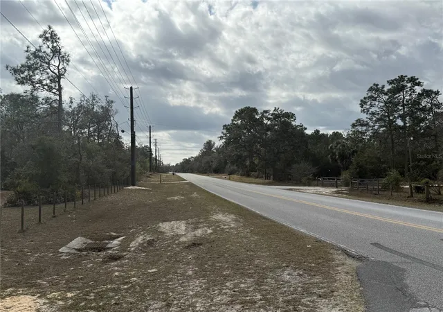 5th image of 12373 Redrose Ave, Weeki Wachee, FL 34614 | MLS# W7882893