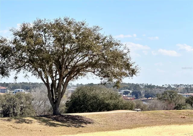 Photo 3 of Land for sale at 16822 Artimino Loop, Montverde, FL 34756 | MLS# G5108014 | Listing updated on 2026-10-03