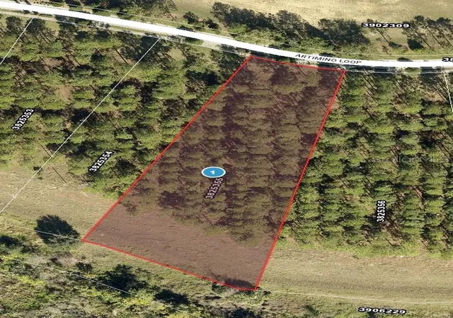 Photo 3 of Land for sale at 16822 Artimino Loop, Montverde, FL 34756 | MLS# G5108014 | Listing updated on 2026-10-03