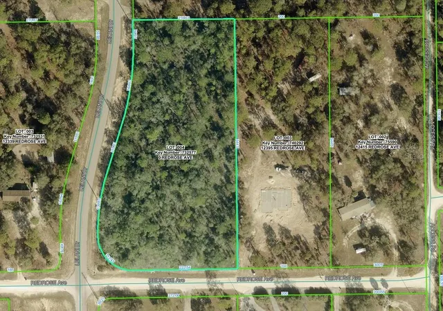 1st image of 00 Lelani Dr, Weeki Wachee, FL 34614 | MLS# W7882895