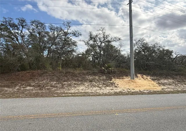 2nd image of 00 Lelani Dr, Weeki Wachee, FL 34614 | MLS# W7882895