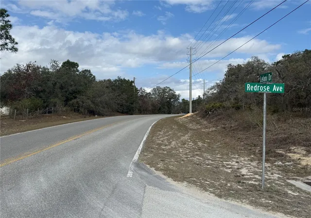 6th image of 00 Lelani Dr, Weeki Wachee, FL 34614 | MLS# W7882895