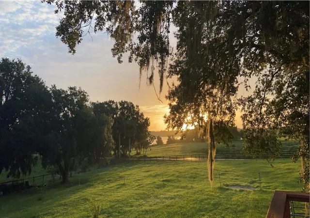 2nd image of 32935 Jesse Jones Ave, San Antonio, FL 33576 | MLS# TB8475164