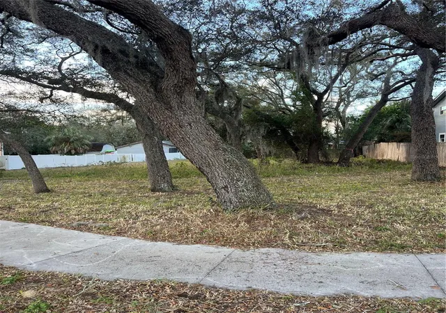 3rd image of Forde Ave, Tarpon Springs, FL 34689 | MLS# W7882918