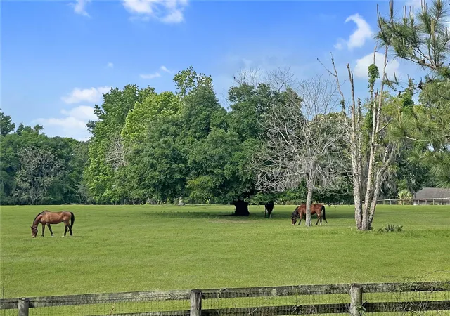 2nd image of 5378 W Hwy 329, Reddick, FL 32686 | MLS# OM718585