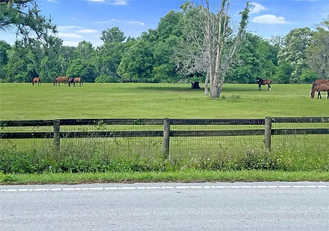 3rd image of 5378 W Hwy 329, Reddick, FL 32686 | MLS# OM718585