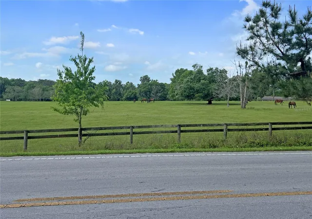 4th image of 5378 W Hwy 329, Reddick, FL 32686 | MLS# OM718585