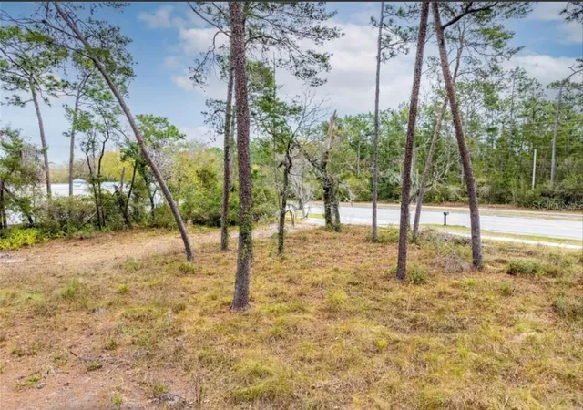15th image of 1370 Courtland Blvd, Deltona, FL 32738 | MLS# O6381677