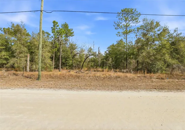 Photo 3 of Land for sale at Chimney Swift Rd, Weeki Wachee, FL 34614 | MLS# W7882961 | Listing updated on 2026-10-08