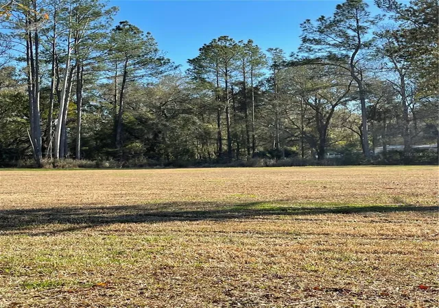 5th image of 10379 Ne Hwy 314, Silver Springs, FL 34488 | MLS# S5143718