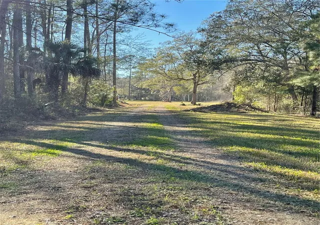 6th image of 10379 Ne Hwy 314, Silver Springs, FL 34488 | MLS# S5143718