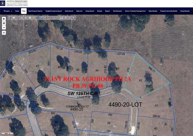 Homes for sale in Archer, FL | 5215 Sw 125th Cir, Archer, FL 32618 | MLS# TB8475862