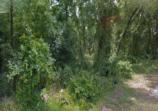 Photo 1 of Land for sale at 5986 E Waverly St, Inverness, FL 34452 | MLS# O6382269 | Listing updated on 2026-02-13