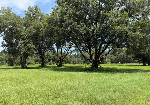 1st image of Tbd Nw 328, Reddick, FL 32686 | MLS# OM718771