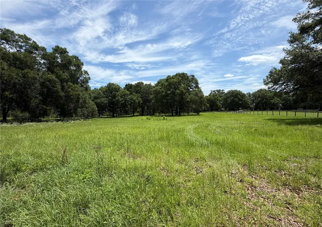 5th image of Tbd Nw 328, Reddick, FL 32686 | MLS# OM718771