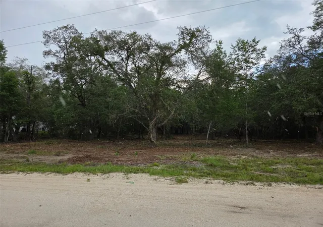 Homes for sale in Morriston, FL | 21531 Se 68th Ln, Morriston, FL 32668 | MLS# OM718774