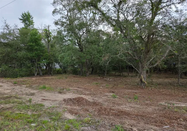 Homes for sale in Morriston, FL | 21531 Se 68th Ln, Morriston, FL 32668 | MLS# OM718774