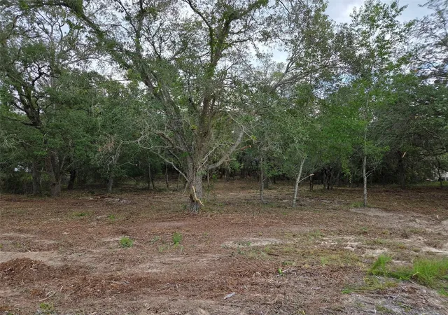 Homes for sale in Morriston, FL | 21531 Se 68Th Ln, Morriston, FL 32668 | MLS# OM718774