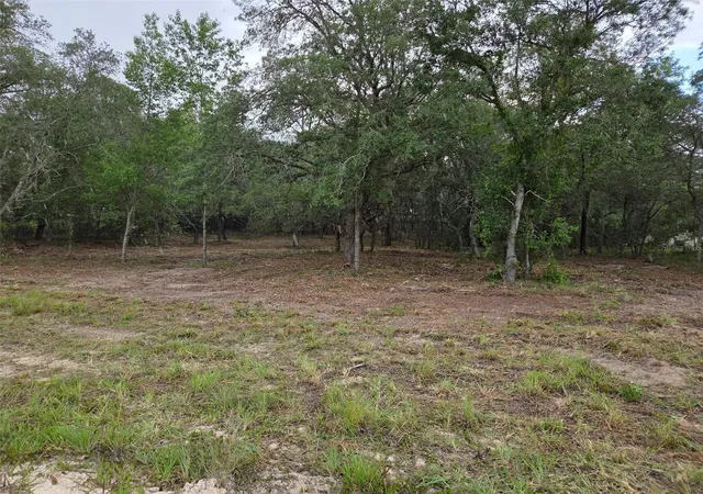 Homes for sale in Morriston, FL | 21531 Se 68Th Ln, Morriston, FL 32668 | MLS# OM718774