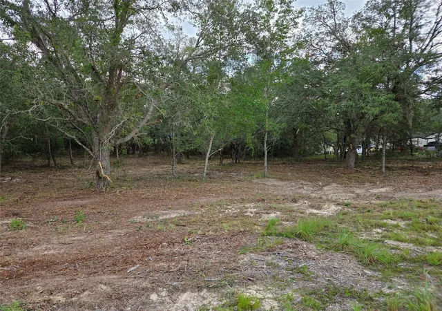 Homes for sale in Morriston, FL | 21531 Se 68Th Ln, Morriston, FL 32668 | MLS# OM718774