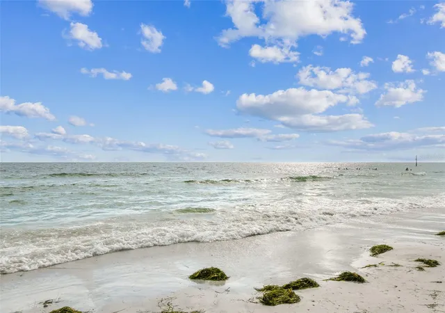 85th image of 2427 Baywood Dr W, Dunedin, FL 34698 | MLS# TB8476160