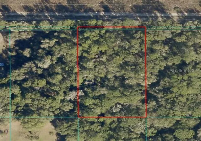 Photo 3 of Land for sale at Tract Sw 15 150th Street, Dunnellon, FL | MLS# OM718841 | Listing updated on 2026-10-16