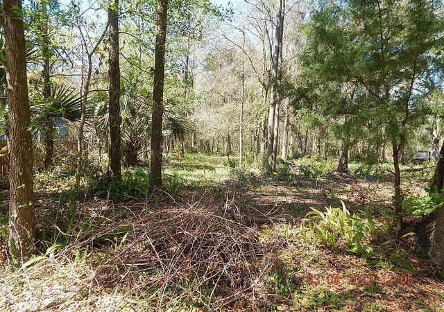 Photo 3 of Land for sale at 1026 Buist St, Orlando, FL 32828 | MLS# O6382682 | Listing updated on 2026-08-11