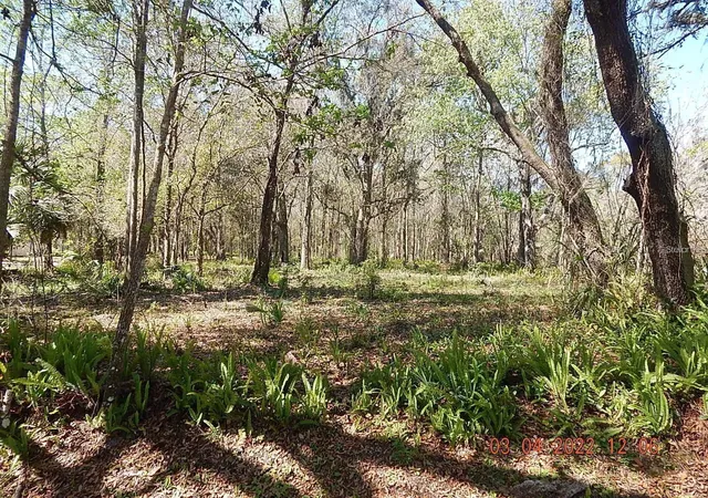 Photo 3 of Land for sale at 1026 Buist St, Orlando, FL 32828 | MLS# O6382682 | Listing updated on 2026-08-11